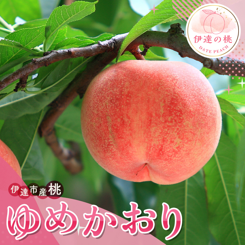 【ふるさと納税】2025年出荷分 先行予約数量が選べる 福島の桃 ゆめかおり 3kg 5kg 2025年9月中旬～2025年9月下旬 先行予約 予約 新品種 超大玉 大玉 固め 伊達の桃 桃 もも モモ 果物 くだもの フルーツ F20C-838var