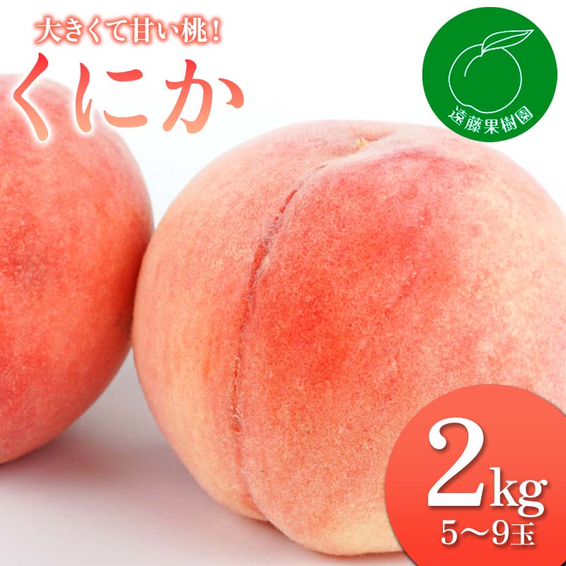 【ふるさと納税】2025年出荷分 先行予約福島県産 くにか 2kg 2025年8月中旬～2025年8月下旬発送 先行予約 予約 伊達の桃 桃 もも モモ 果物 くだもの フルーツ 国産 贈り物 ギフト 食品 F20C-830