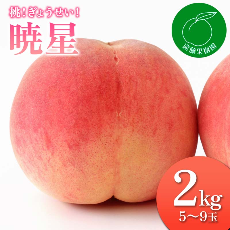 【ふるさと納税】2025年出荷分 先行予約福島県産 暁星 2kg 2025年7月中旬～2025年7月下旬発送 予約 伊達の桃 ぎょうせい 小玉 桃 もも モモ 果物 くだもの フルーツ 国産 食品 F20C-832