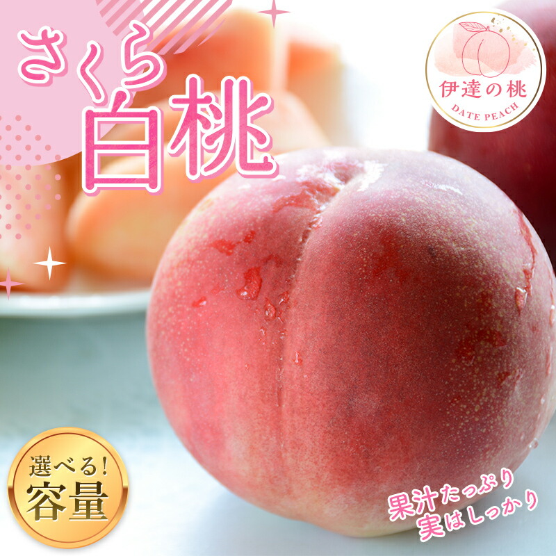 【ふるさと納税】2025年出荷分 先行予約 福島の桃 さくら白桃 2kg～5kg 【あかい果樹園】 先行予約 フルーツ 果物 固め もも モモ momo F20C-911var