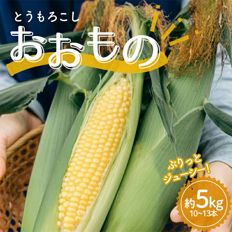 【ふるさと納税】 極上の甘さ！ とうもろこし 「おおもの」 10～13本（約5kg） F20C-933