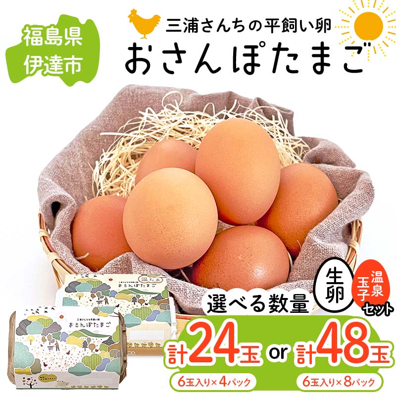 【ふるさと納税】 数量が選べる 三浦さんちの平飼い卵 おさんぽたまご(生卵と温泉玉子セット)  生卵18玉入り・温泉玉子6玉入り(計24玉) /生卵24玉入り・温泉玉子24玉入り(計48玉) 伊達市 福島県 国産 養鶏場直送 卵 たまご 玉子 生卵 鶏卵 温泉たまご F20C-953var