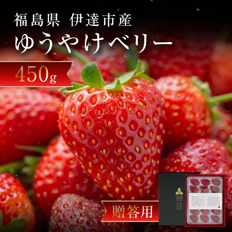けーいちさま専用品 プロトオリジナル電動スクーターPEV600に使える便利アイテムをご