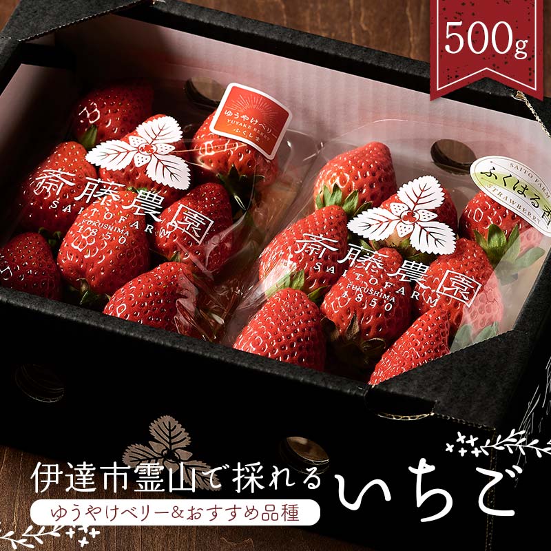 楽天市場】【ふるさと納税】伊賀忍者いちご プレミアムモカベリー 4