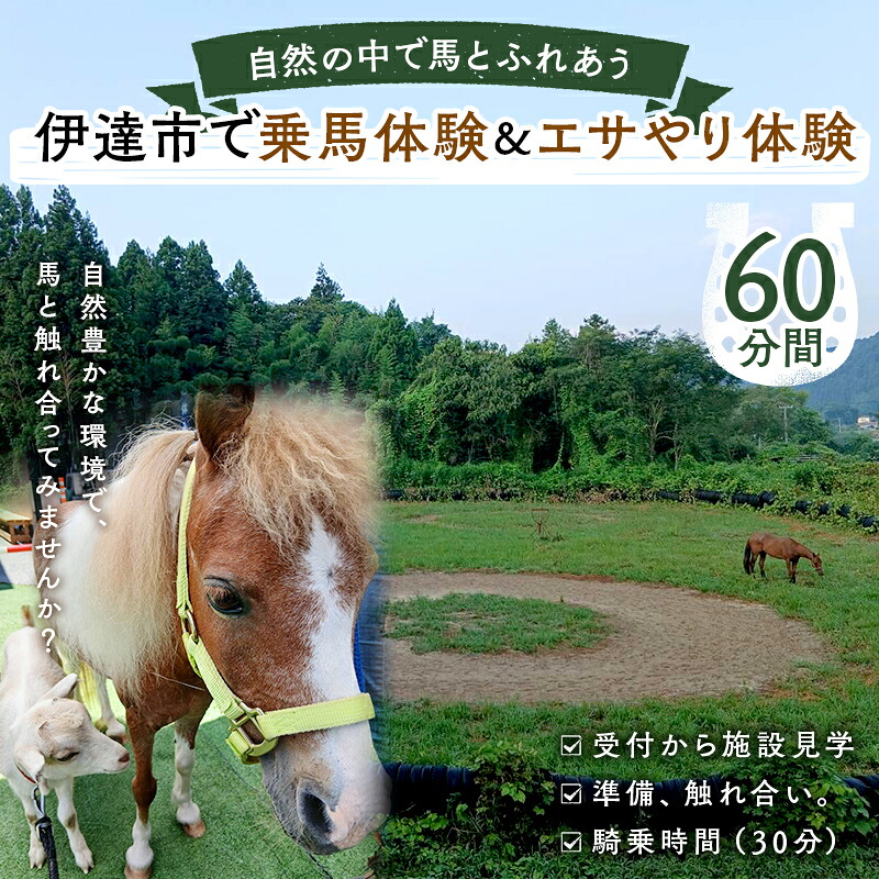 【ふるさと納税】自然の中で馬とふれあう 伊達市で乗馬体験＆エサやり体験【60分】 馬 うま 乗馬 初心者 自然 体験 F21C-245