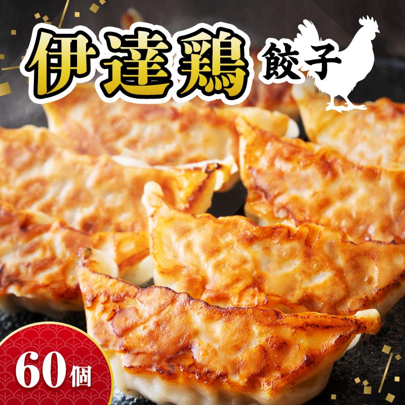 【ふるさと納税】福島県 伊達市産 【リピーター多数】旨味たっぷり 伊達鶏 餃子 60個入り（12個×5パック） 冷凍 銘柄鶏 ブランド鶏 ぎょうざ ギョーザ お手軽餃子 薄皮 特製あん だてどり 鶏肉餃子 惣菜 F21C-526