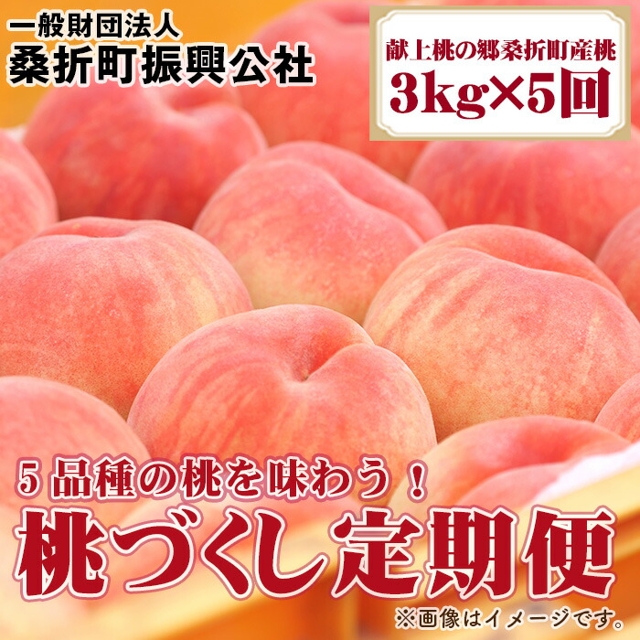 【ふるさと納税】No.199 桃づくし定期便【献上桃の郷桑折町産桃3kg×5回】5品種の桃を味わう！ ／ もも モモ 果肉 甘み 果汁 送料無料 福島県 特産品