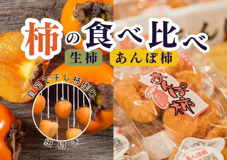 【ふるさと納税】【2回定期便】【季節限定】柿の食べ比べ 生柿 りんご あんぽ柿セット ※沖縄・離島への配送不可 ※2025年12月上旬～2026年2月下旬頃に順次発送予定