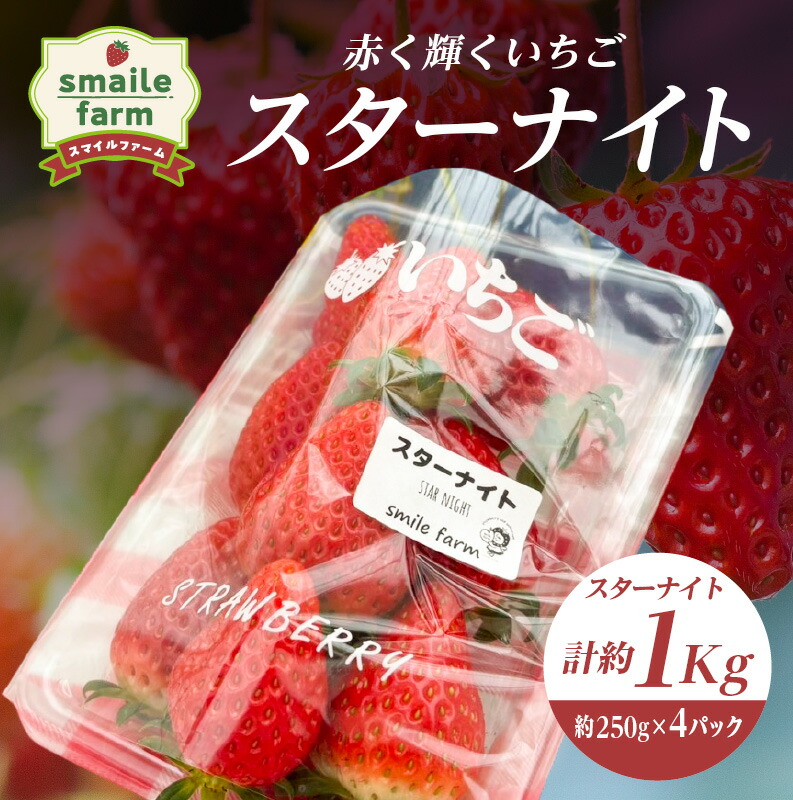 【ふるさと納税】スマイルファーム 赤く輝くいちご スターナイト 約1kg FAF-0040 10,920円