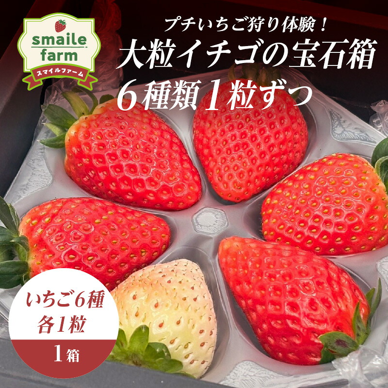 【ふるさと納税】プチいちご狩り体験！大粒イチゴの宝石箱 6種類1粒ずつ FAF-0045