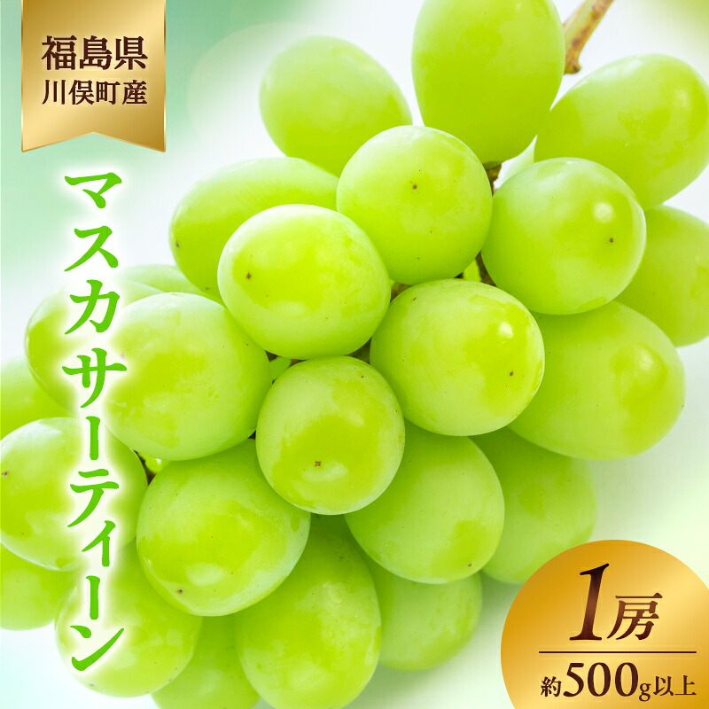 【ふるさと納税】川俣町産 マスカサーティーン 1房 約500g以上 マスカット ぶどう ブドウ 葡萄 デザート フルーツ 果物 くだもの 果実 食品 FAF-0227｜福島県川俣町