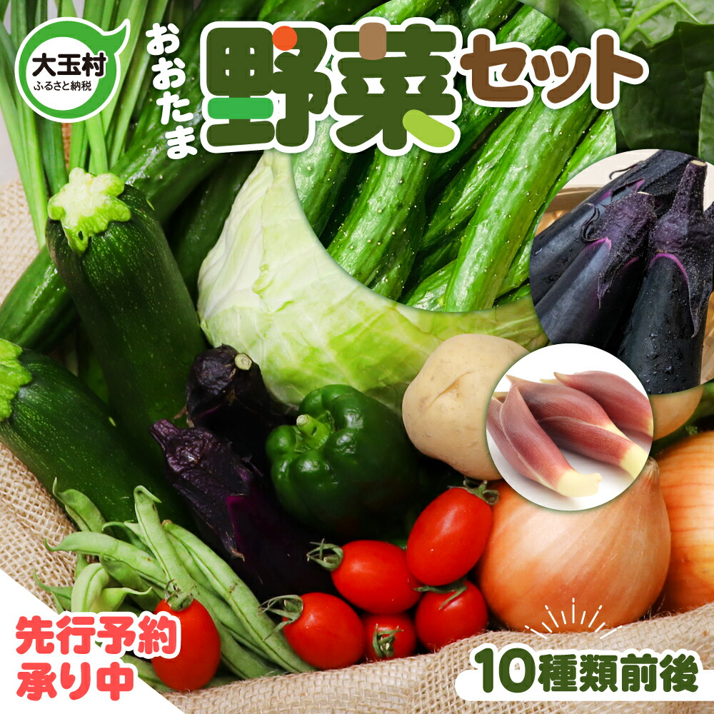 【ふるさと納税】野菜 セット ( 10種類前後 ) 旬 野菜セット お試し 5000円 ５０００円以下 採れたて 新鮮 産地直送 おまかせ 詰め合わせ やさい SDGs 炒め物 サラダ グリル 煮物 スープ 鍋 先行予約 2025年7月下旬以降 順次発送 送料無料 福島県大玉村 01104