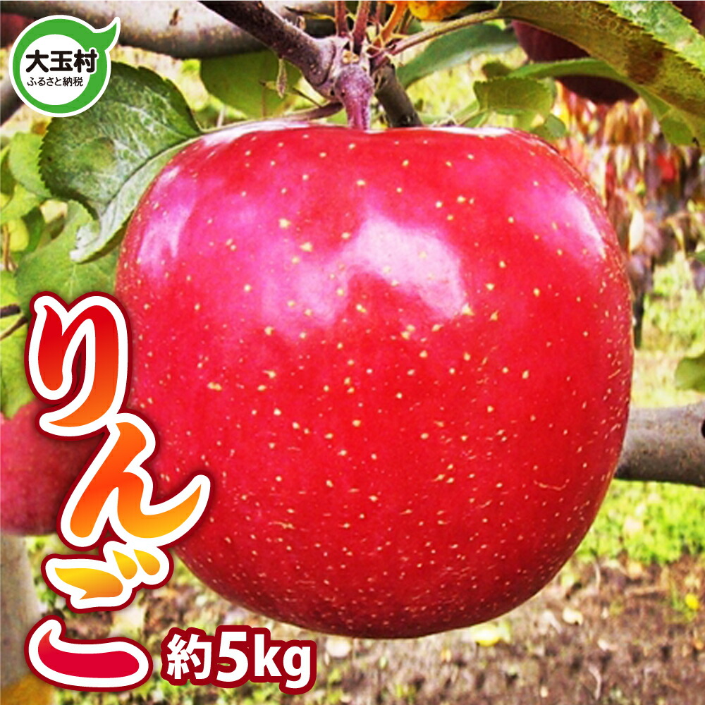 【ふるさと納税】【令和7年分 先行予約】福島県 大玉村産　りんご　約 5kg　※11月以降順次発送｜ om-rg05-R7
