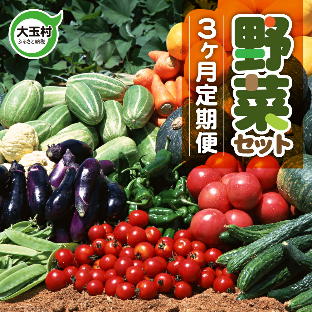 【ふるさと納税】野菜セット 3回 定期便 ( 10種類前後 ) お試し 旬 野菜セット 3ヶ月 採れたて 新鮮 おまかせ 詰め合わせ 産地直送 SDGs 炒め物 サラダ グリル 煮物 スープ 鍋 送料無料 福島県大玉村 01107