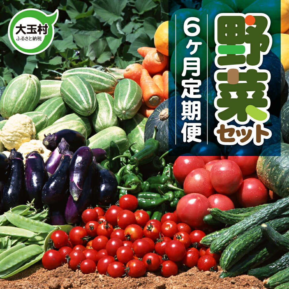 【ふるさと納税】野菜セット 6回 定期便 ( 10種類前後 ) お試し 旬 野菜セット 6ヶ月 採れたて 新鮮 おまかせ 詰め合わせ 産地直送 SDGs 炒め物 サラダ グリル 煮物 スープ 鍋 送料無料 福島県大玉村 01108
