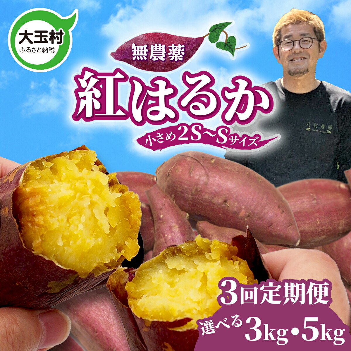 【ふるさと納税】先行予約 定期便 無農薬 さつまいも 紅はるか 3kg / 5kg &times; 3ヶ月 2S～S サイズ混合 福島県 大玉村産 国産 サツマイモ さつま芋 熟成 やきいも 焼き芋 おやつ スイーツ 野菜 |yn-sm-b |｜福島県大玉村 24,500円