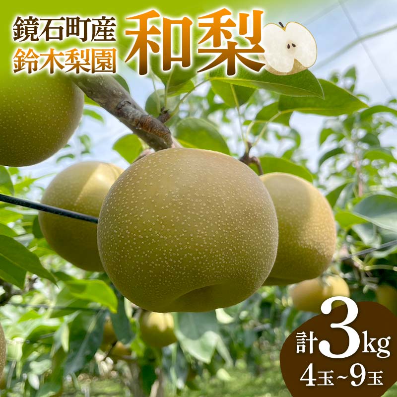 【ふるさと納税】鏡石町産 和梨 3kg（4玉～9玉） なし ナシ フルーツ 果物 福島県 鏡石町  F6Q-121
