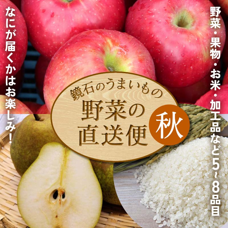 【ふるさと納税】 ＜先行予約＞鏡石のうまいもの野菜の直送便（秋）野菜 果物 詰め合わせ つめ合わせ セット 福島県 鏡石町 F6Q-135