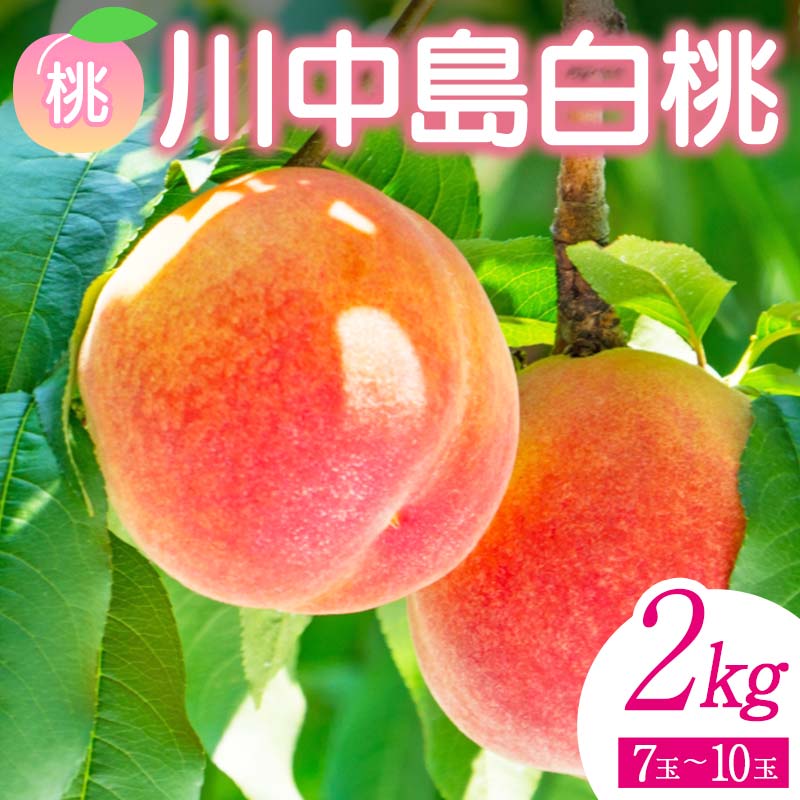 【ふるさと納税】＜先行予約＞ 福島県産 甘くてジューシー 桃 川中島 白桃 2kg（7玉～10玉） モモ フルーツ 果物 福島県 鏡石町 F6Q-141