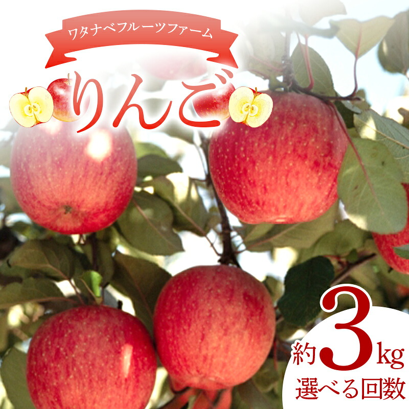 【ふるさと納税】＼選べる回数／ワタナベフルーツファームのりんご 約3kg（7～10玉） 1回 or 3か月定期便 りんご リンゴ フルーツ 果物 F6Q-385var｜福島県鏡石町