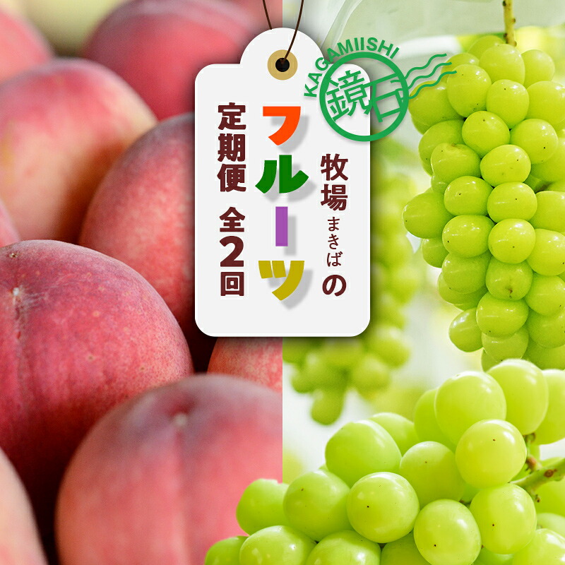 【ふるさと納税】【2026年から発送開始】鏡石町 まきばのフルーツ定期便（桃 約5kg・シャインマスカット2房）モモ もも ブドウ ぶどう 福島県 鏡石町 F6Q-424