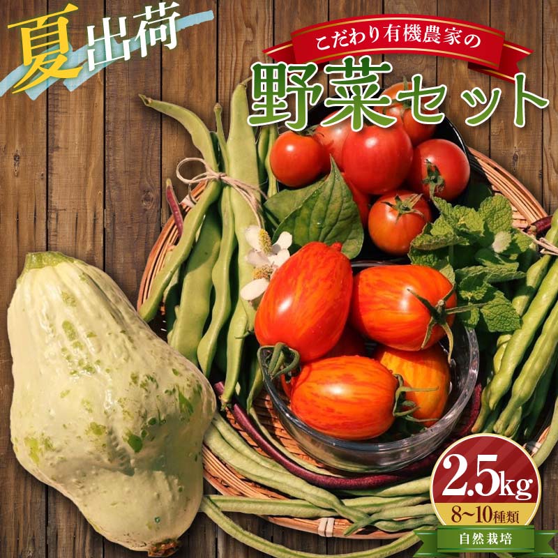 【ふるさと納税】《先行予約》＜夏出荷＞こだわり有機農家の野菜セット 2.5kg(8～10種類)  自然栽培 オーガニック 有機栽培 無農薬 野菜 セット 詰合せ 化学肥料不使用 動物性肥料不使用 先行予約 予約 食品 F4D-0130