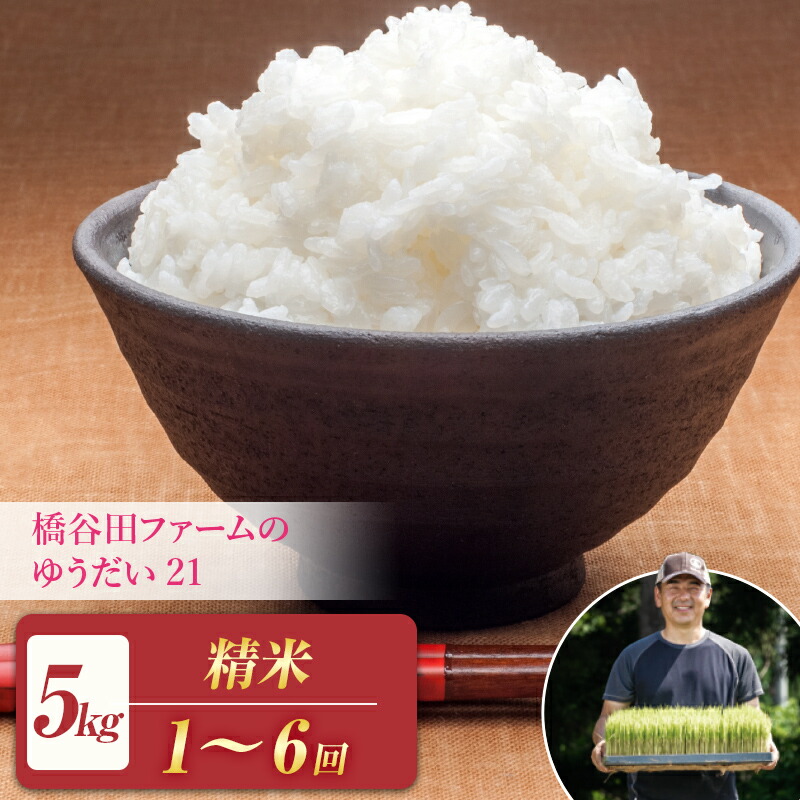 【ふるさと納税】《選べる定期便》 減農薬・減化学肥料栽培 西会津産米 ゆうだい21 精米 5kg 米 お米 おこめ ご飯 ごはん 福島県 西会津町 F4D-0296var