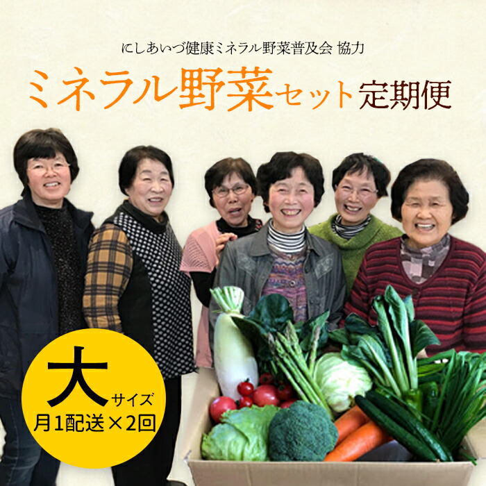 【ふるさと納税】西会津ミネラル野菜セット定期便（大）2回 F4D-1400