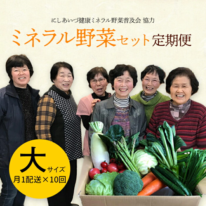 【ふるさと納税】西会津ミネラル野菜セット定期便（大）10回 F4D-1402