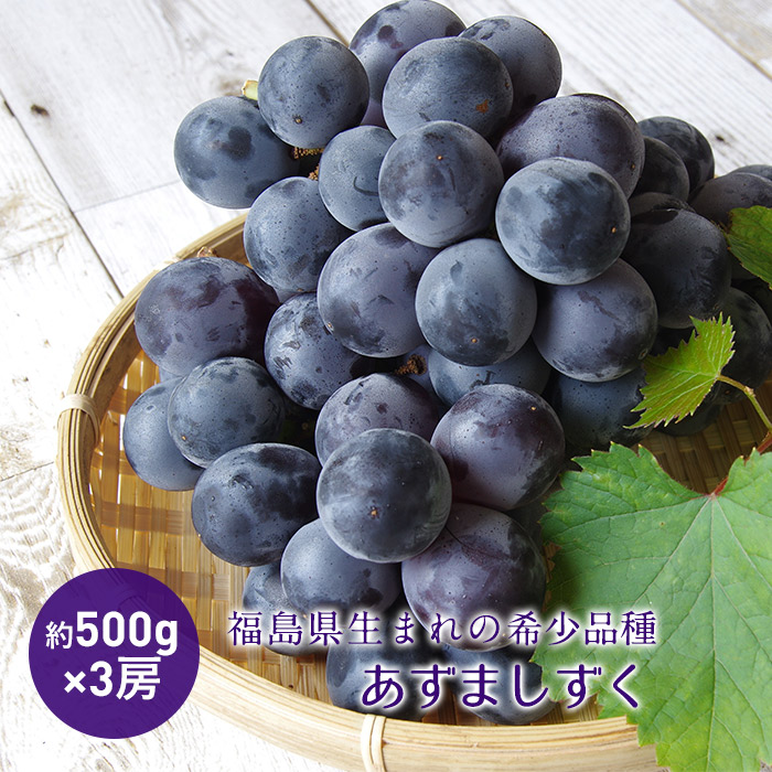 【ふるさと納税】《先行予約》あずましずく 約1.5kg (約500g×3房) ぶどう オリジナル品種 あずましずく 希少 ブドウ 葡萄 くだもの フルーツ デザート 先行予約 予約 F4D-0076