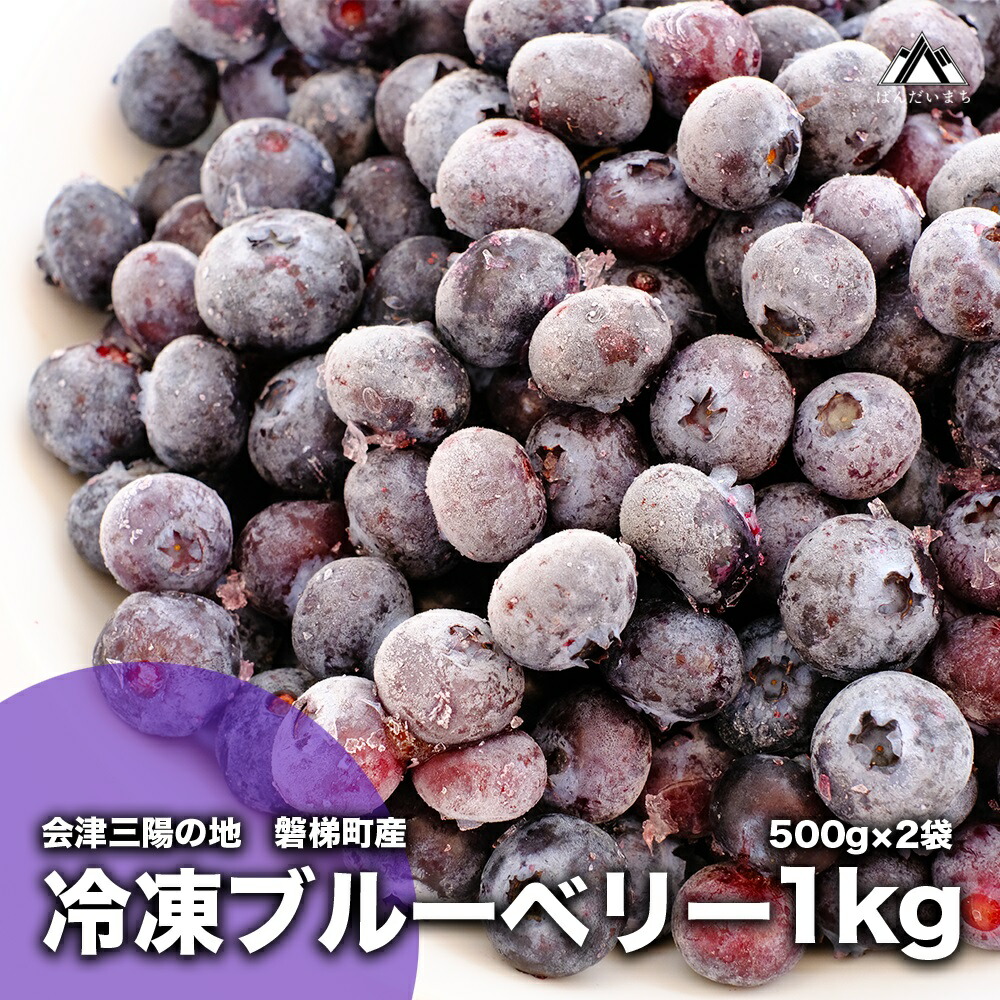 【ふるさと納税】【予約】冷凍ブルーベリー 1kg 直径13mm以上　※7月下旬発送予定