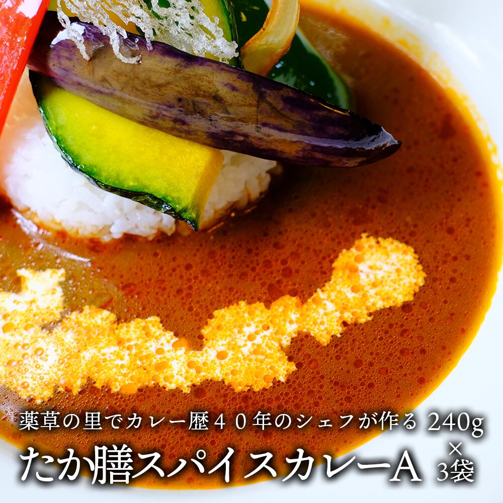【ふるさと納税】薬草の里　たか膳スパイスカレーA ※毎週金曜日午後発送