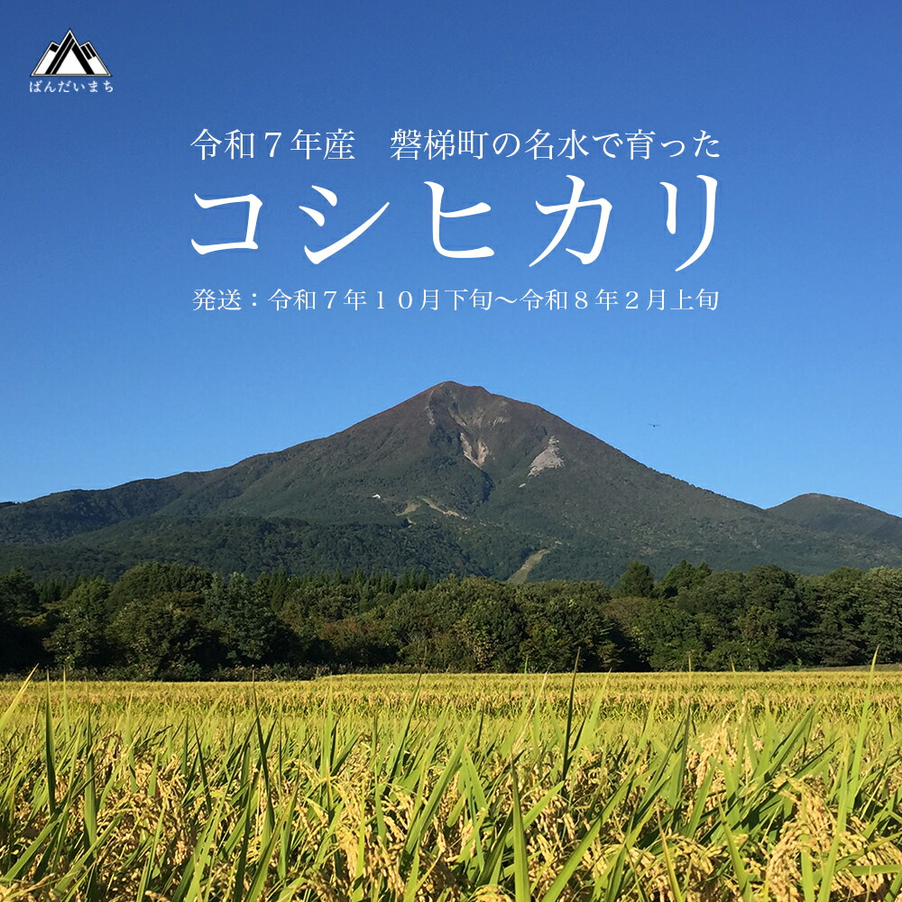 ふるさと納税 福島県 磐梯町 町内の星野リゾートでも利用可　磐梯町ふるさと応援感謝券(3,000円分) 星野リゾート 磐梯山温泉ホテル 宿泊ギフト券（10,000円） | 福島県