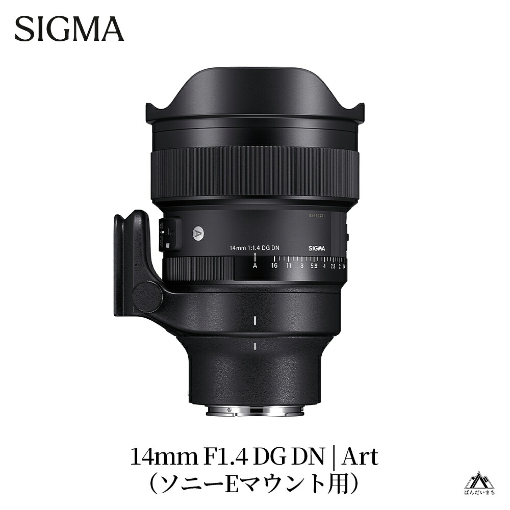 【ふるさと納税】SIGMA 14mm F1.4 DG DN| Art【Lマウント／ソニーEマウント】（数量限定）カメラ レンズ 家電