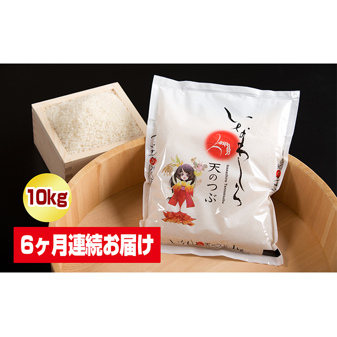 激安単価で 6ヶ月連続 猪苗代町ブランド米 いなわしろ天のつぶ 10kg 定期便 天のつぶ お米 頒布会 楽天ランキング1位 Tulipsgroup Nl