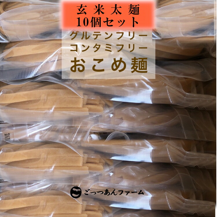 【ふるさと納税】どすこい麺（グルテンフリーなお米めん）玄米平太麺10個セット