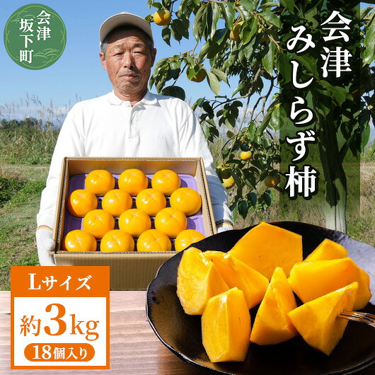 【ふるさと納税】 23-E 柿 会津みしらず柿 Lサイズ 18個入り 約3kg | フルーツ くだもの 果物 柿 かき カキ 産地直送 先行受付 福島県 会津坂下町 ※2026年11月～発送｜福島県会津坂下町