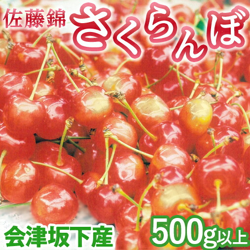 【ふるさと納税】45-A 会津坂下産 さくらんぼ（佐藤錦）｜ 500g以上 3Lサイズ 冷蔵便 サクランボ 佐藤農園 化粧箱　※2026年6月下旬頃～7月上旬頃に順次発送