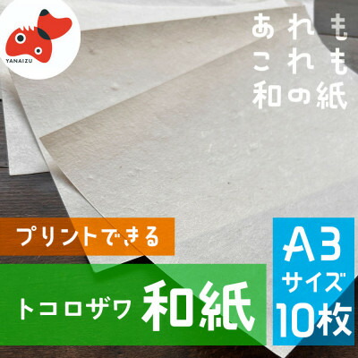 【ふるさと納税】【日本の文化を応援!】柳津の伝統和紙「野老沢和紙」【A3サイズ×10枚セット】【1713930】