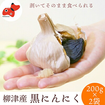 【ふるさと納税】会津・柳津　高品質高糖度の黒にんにく「ちからにんにく」2袋【1142576】