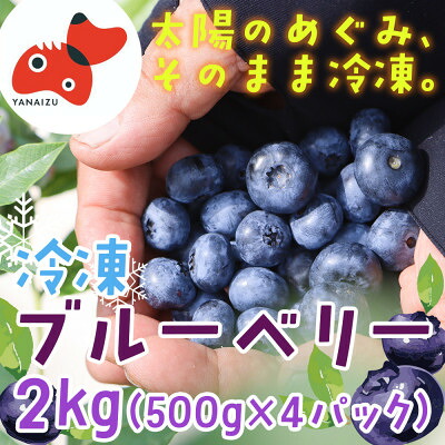 【ふるさと納税】【摘みたて冷凍】自然の中で育った冷凍ブルーベリー(500g×4パック)【配送不可地域：離島】【1362345】