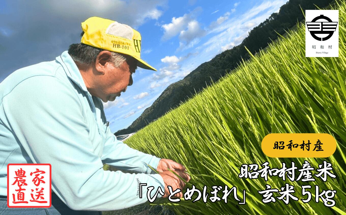 【ふるさと納税】昭和村産米「ひとめぼれ」玄米5kg 米 玄米 ひとめぼれ お米 こめ コメ 特別乾燥米 5kg ご飯 おすすめ お中元 お歳暮 ギフト 昭和村 ふくしま 福島県 送料無料【山内常一】|福島県昭和村