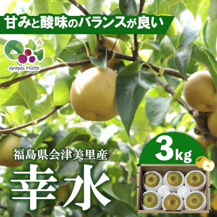 【ふるさと納税】【先行受付】会津の美味しい梨 幸水 約3kg（5玉～6玉） ◇｜ 期間限定 梨 なし ナシ 果物 フルーツ 甘い ジューシー 果実 くだもの 国産 果実 会津美里町産 ※2025年8月下旬～9月上旬頃に順次発送予定