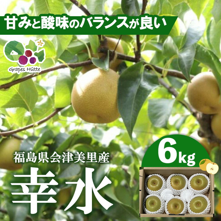 【ふるさと納税】【先行受付】会津の美味しい梨 幸水 約6kg（10玉～12玉）◇｜ 期間限定 梨 なし ナシ 果物 フルーツ 甘い ジューシー 果実 くだもの 国産 果実 会津美里町産 ※2025年8月下旬～9月上旬頃に順次発送予定