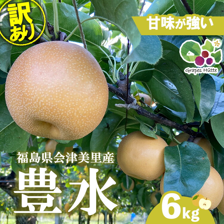 【ふるさと納税】【先行受付】《訳あり》会津の美味しい梨 豊水 約6kg（10玉～12玉）◇｜ 期間限定  家庭用 梨 なし ナシ 果物 フルーツ 甘い ジューシー 果実 くだもの 国産 果実 会津美里町産 ※2025年9月中旬～9月下旬頃に順次発送予定