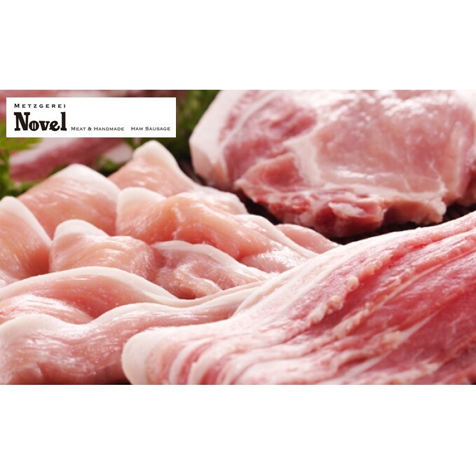 【ふるさと納税】【 ノーベル 】 夢味ポーク 焼肉 セット お肉 牛肉 ロース 豚肉 バラ 焼肉 バーベキュー