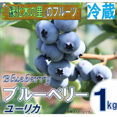 【ふるさと納税】【先行予約/冷蔵】ブルーベリー1kg(ユーリカ)【配送不可地域：離島・沖縄県】【1494373】