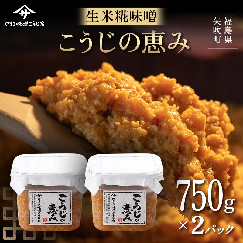 【ふるさと納税】 糀が生きてる生米糀味噌「こうじの恵み」1.5kg みそ 味噌 調味料 食品 F6U-074