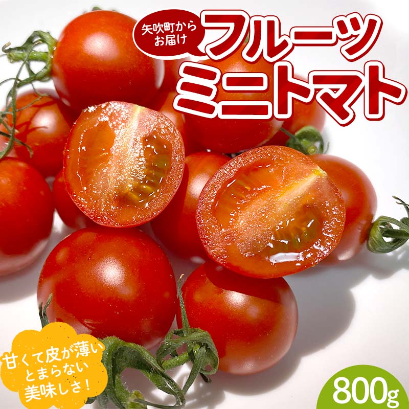 【ふるさと納税】 プチっと甘みがはじける！とにかく美味しい フルーツミニトマト 800g おやつやビールのおつまみにも！ F6U-143