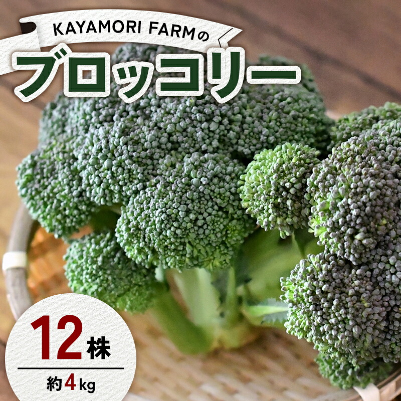 【ふるさと納税】 KAYAMORI FARMのブロッコリー 12株（約4kg） F6U-376